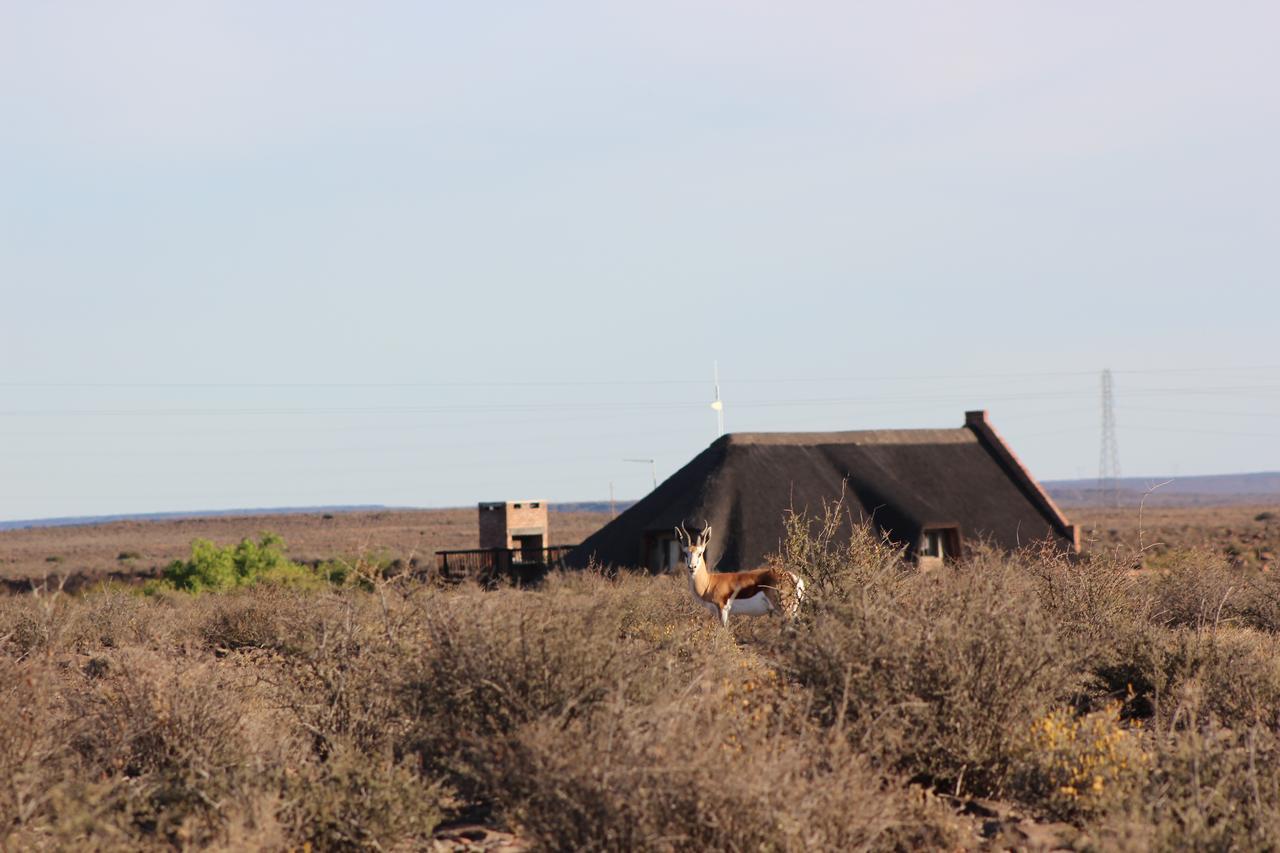 Teri-Lemveli Lodge Beaufort West Exterior foto