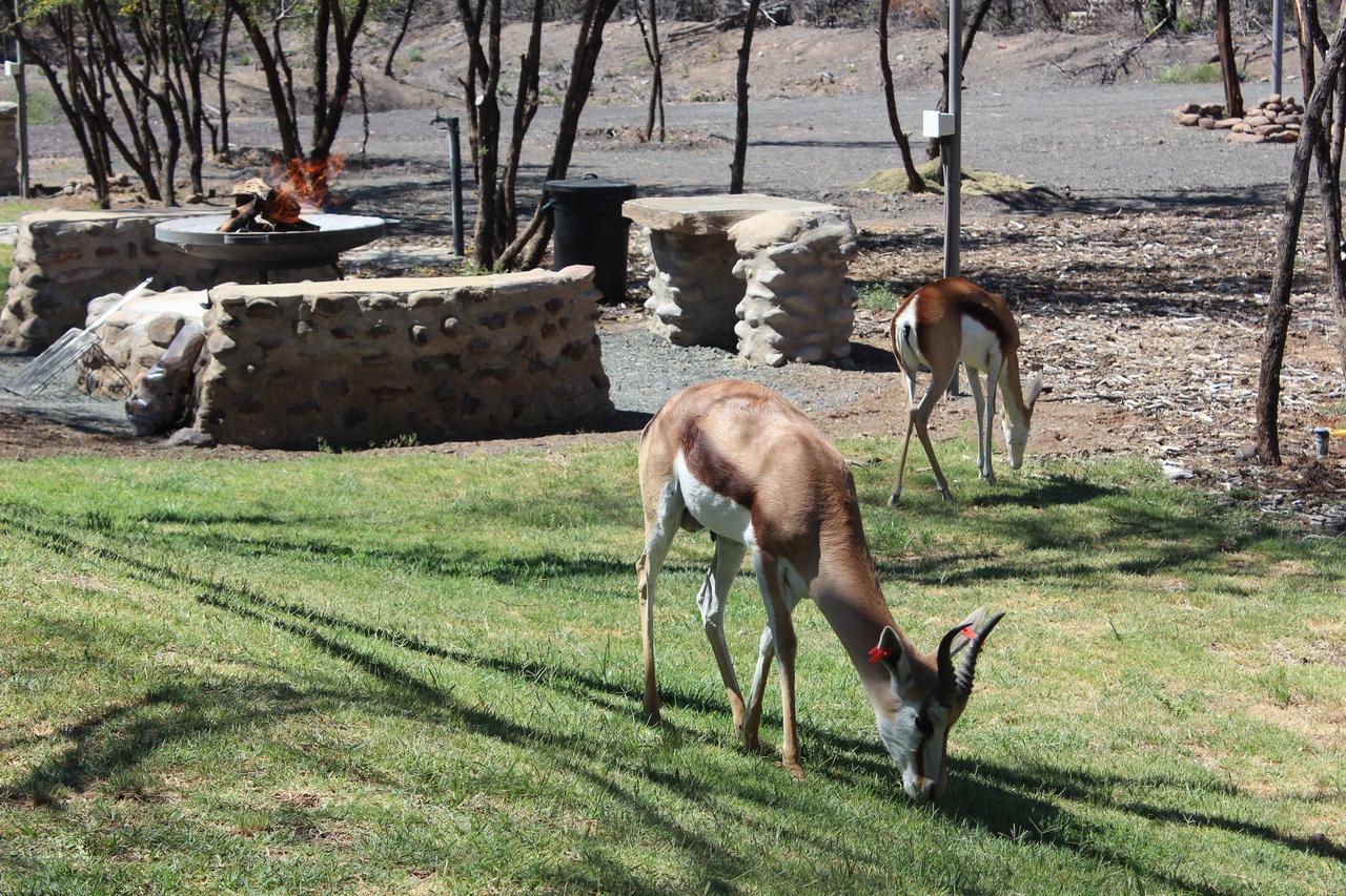 Teri-Lemveli Lodge Beaufort West Exterior foto